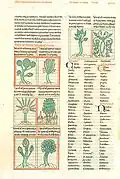 Page scan C, "Plants and Flowers"