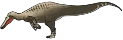 Suchosaurus