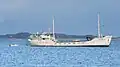 Side view of Lissa Solklint in Mangles Bay, June 2024.