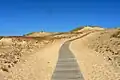 Image 11Sand dunes in the Curonian Spit