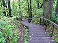 Footpath downhill of the Verkiai Palace park