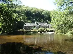 Mill Mohot