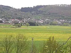 Field in Selters