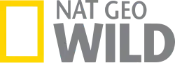 Logo between 2007–2019