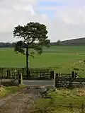 The A682 passes through the west of the parish, here joined by the Pennine Bridleway.