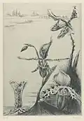 Louise Danse, Iris, Royal Library of Belgium