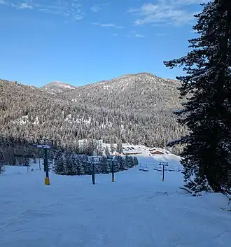 View of the base area from partway up the main run