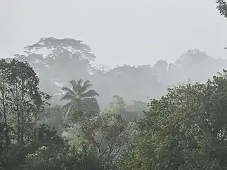 Ziama Massif