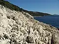 Coastal rocks