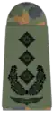 Germany (oberst)