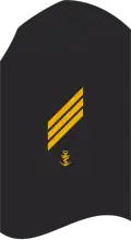 AS 81: "Health Service Support"(design to left cuff)