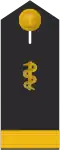 Leutnant zur See SanOA (Navy MOA, service uniform shirt epaulette, studying medicine)