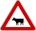 Domestic animals
