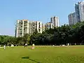 Central Lawn