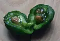 Sectioned fruit