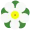 1955