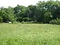 Major Farm Meadow