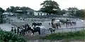 Malabar Riding School