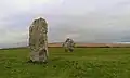 'Male' and 'Female' stones in the Avenue