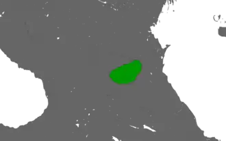 The Emirate in 1919