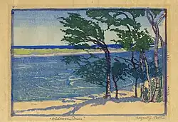 Windblown Trees