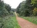 Maulden Wood