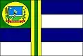 Flag of Maurilândia