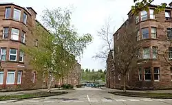 Maxwell Street