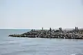 Ramsar Caspian coast