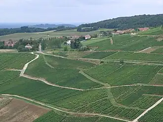 A general view of Menétru-le-Vignoble