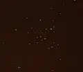 M41 in an 8" telescope