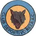 1980S