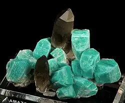 Two smoky quartz crystals surrounded by amazonite crystals, from Smoky Hawk Mine, Crystal Peak, Teller County, Colorado. Size: 11.0&nbsp;cm ×&nbsp;8.2&nbsp;cm ×&nbsp;6.3&nbsp;cm (4.3&nbsp;in ×&nbsp;3.2&nbsp;in ×&nbsp;2.5&nbsp;in).