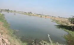 village pond