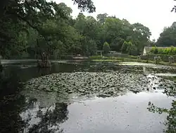 Godstone Ponds
