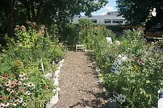 Butterfly Garden