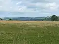 Minchinhampton Common