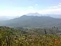 Mirkot Village View.