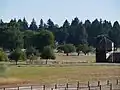 Reconstructed orchard at Fort Vancouver, original planted 1827–1829