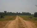 Mississippi River levee road in Tensas Parish near St. Joseph