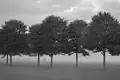 'New Horizon' avenue in mist, Pontcanna Fields, Cardiff (2016)[15]