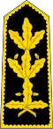 Général en chef des armées
