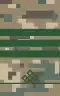 Mongolian Border troops-CPL-field