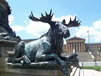 Moose