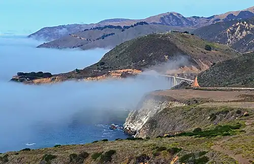 Morning fog