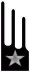 Regiment "Lancieri di Mantova" (25th)