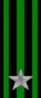 29th, 30th Regiment "Pisa" ("Assietta")