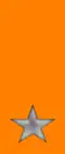33rd, 34th Regiment "Livorno"