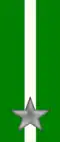 53rd, 54th Regiment "Umbria" ("Sforzesca")