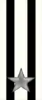 95th, 96th Regiment "Udine"